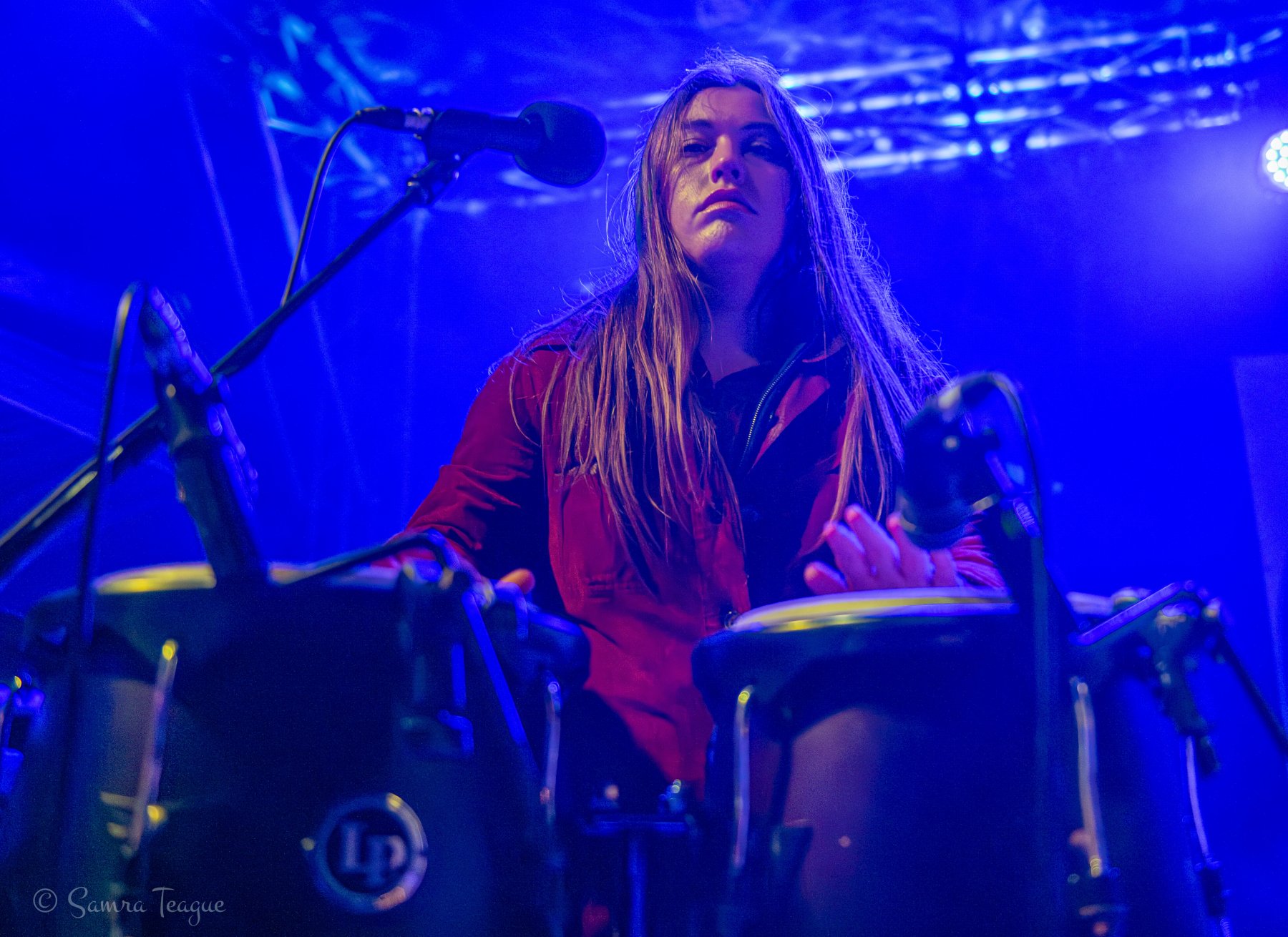 Dougstock 6